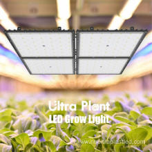 Indoor Full Spectrum Square Deep Red Grow Lights